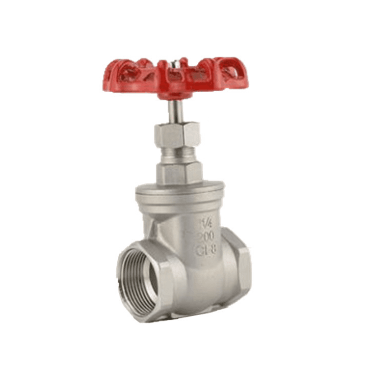 Stainless Steel Gate Valve 200# RC/NPT Threaded