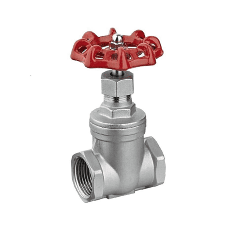 Stainless Steel Gate Valve 200# RC/NPT Threaded