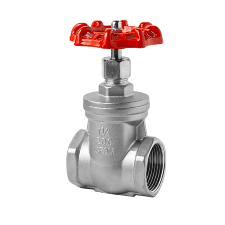 Stainless Steel Gate Valve 200# RC/NPT Threaded