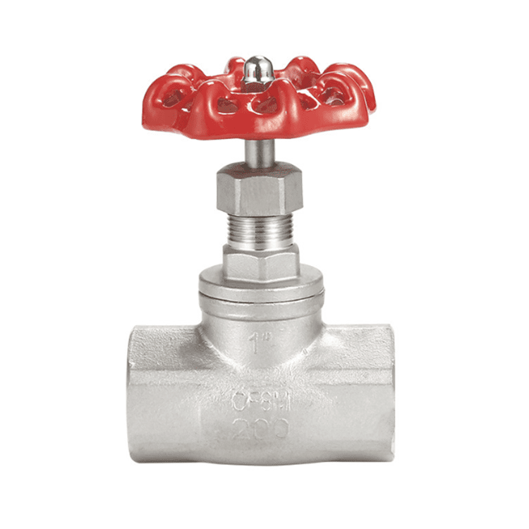 Stainless Steel Globe Valve 200# RC/NPT Threaded