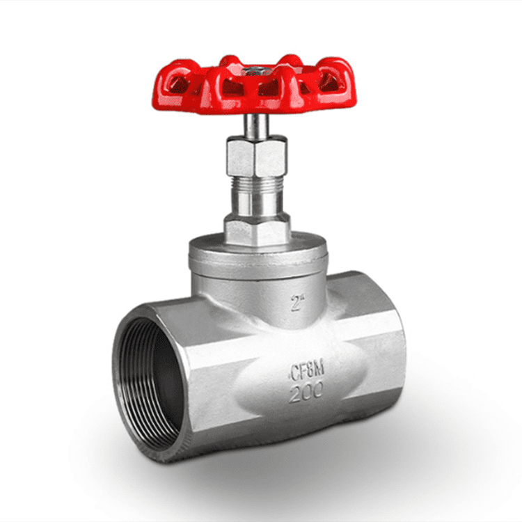 Stainless Steel Globe Valve 200# RC/NPT Threaded