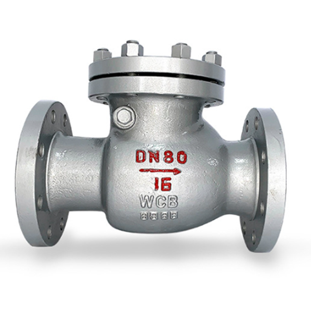 Stainless Steel Swing Check Valve Class 150 / 300 RF