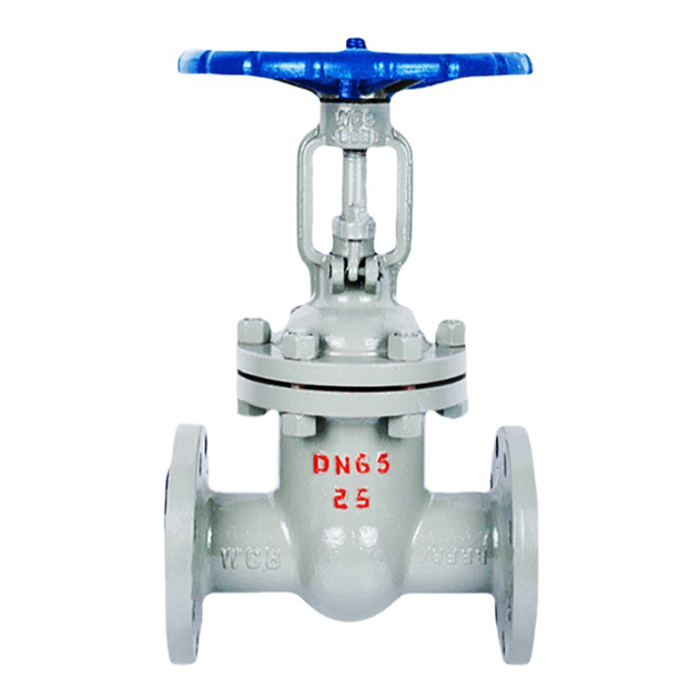 Stainless Steel Gate Valve Class 150 / 300 RF