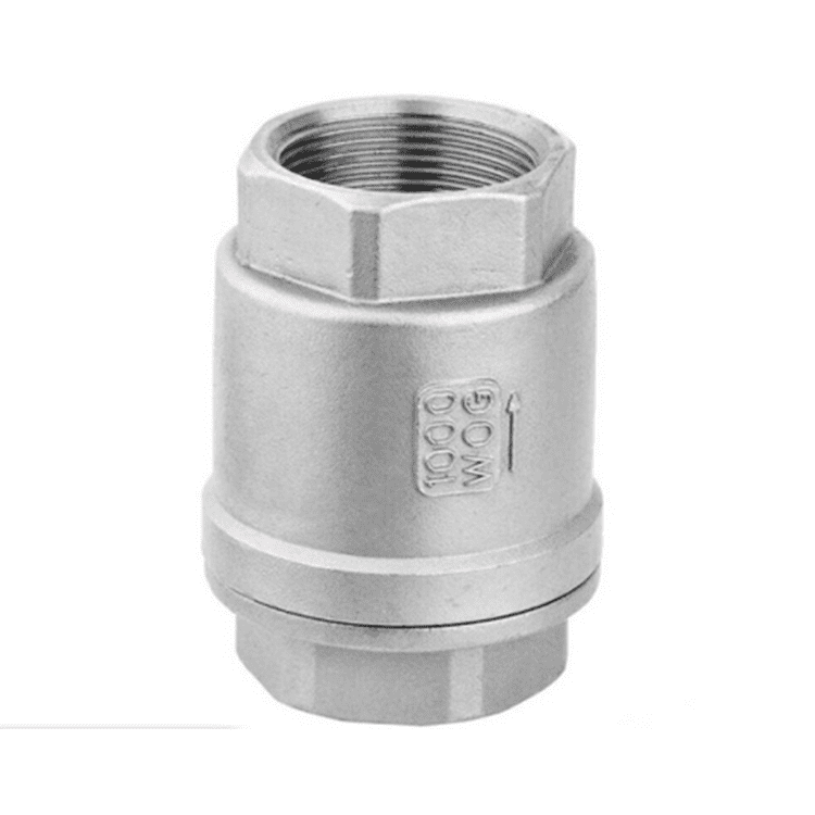 Stainless Steel 2-Piece Spring Loaded Check Valve Threaded NPT/RC