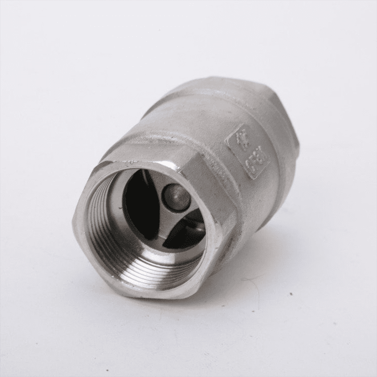 Stainless Steel 2-Piece Spring Loaded Check Valve Threaded NPT/RC